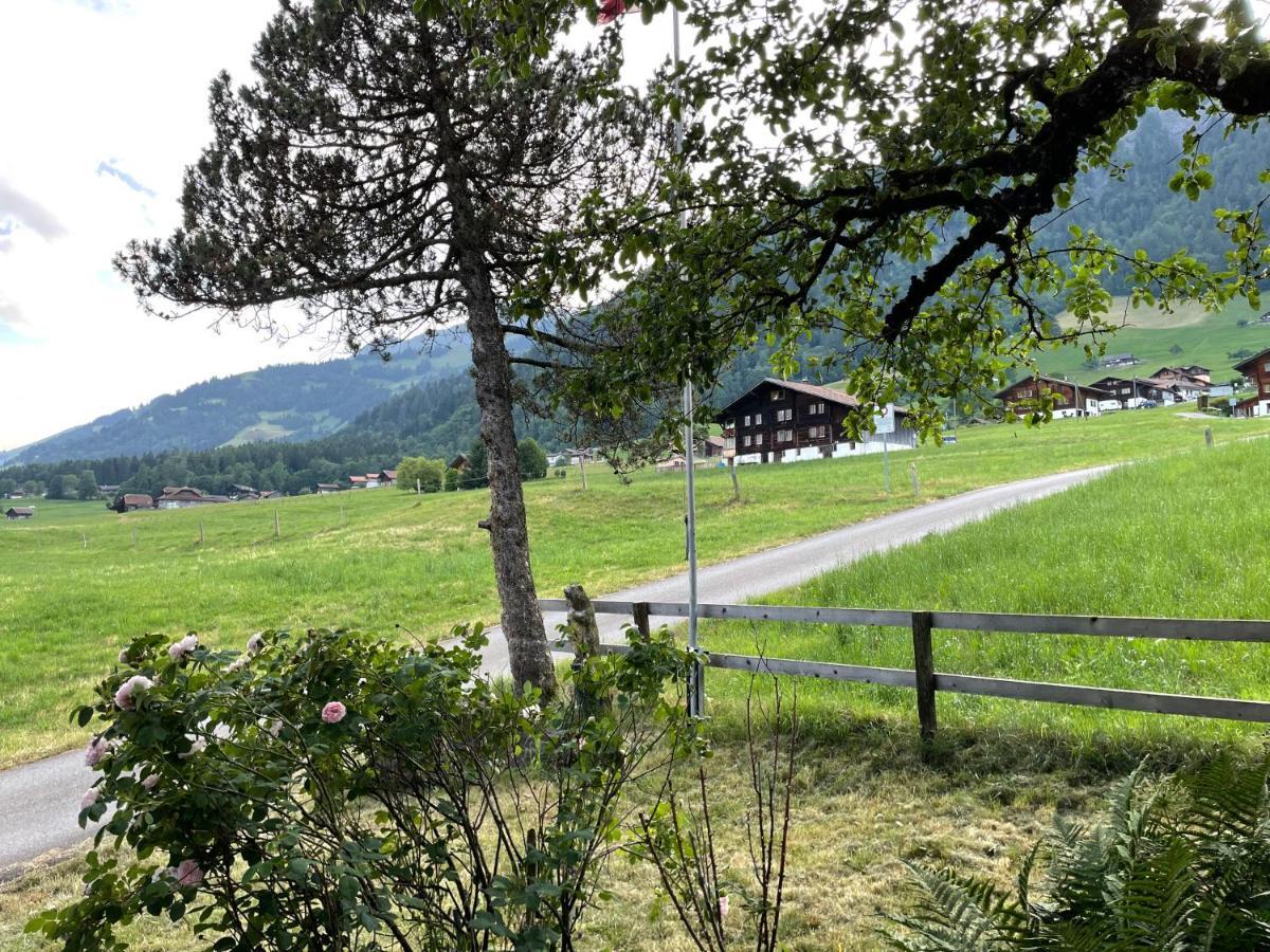 Edelweiss 4 Zi Ferienwohnung In Landhaus Frutigen Εξωτερικό φωτογραφία